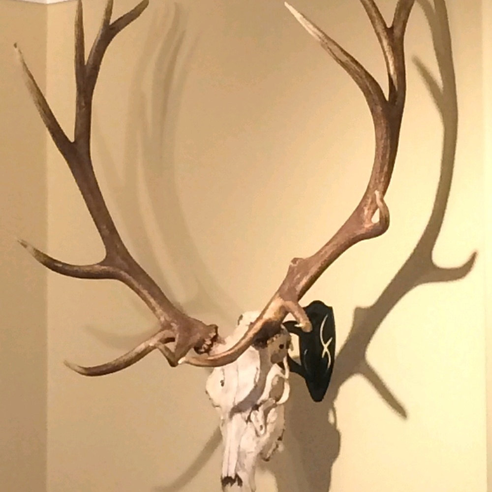 Meet your Posher, Natasha